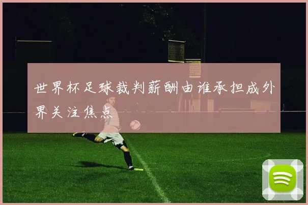 世界杯足球裁判薪酬由谁承担成外界关注焦点