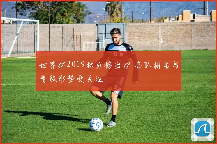 世界杯2019积分榜出炉 各队排名与晋级形势受关注