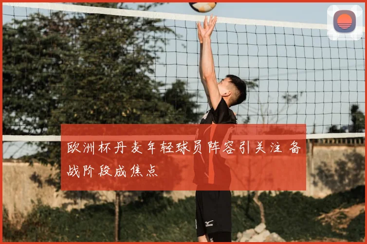 欧洲杯丹麦年轻球员阵容引关注 备战阶段成焦点